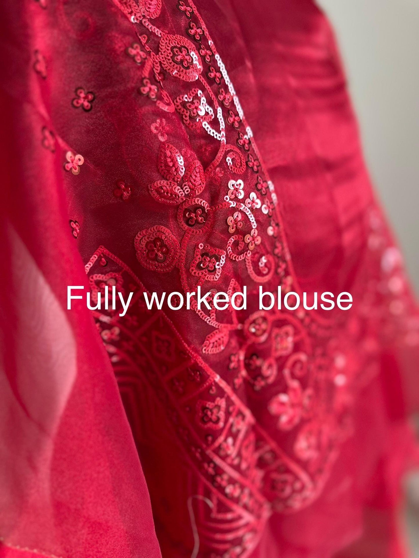 Red organza saree with red sequin detailing. Elegant red on red saree for occasions.