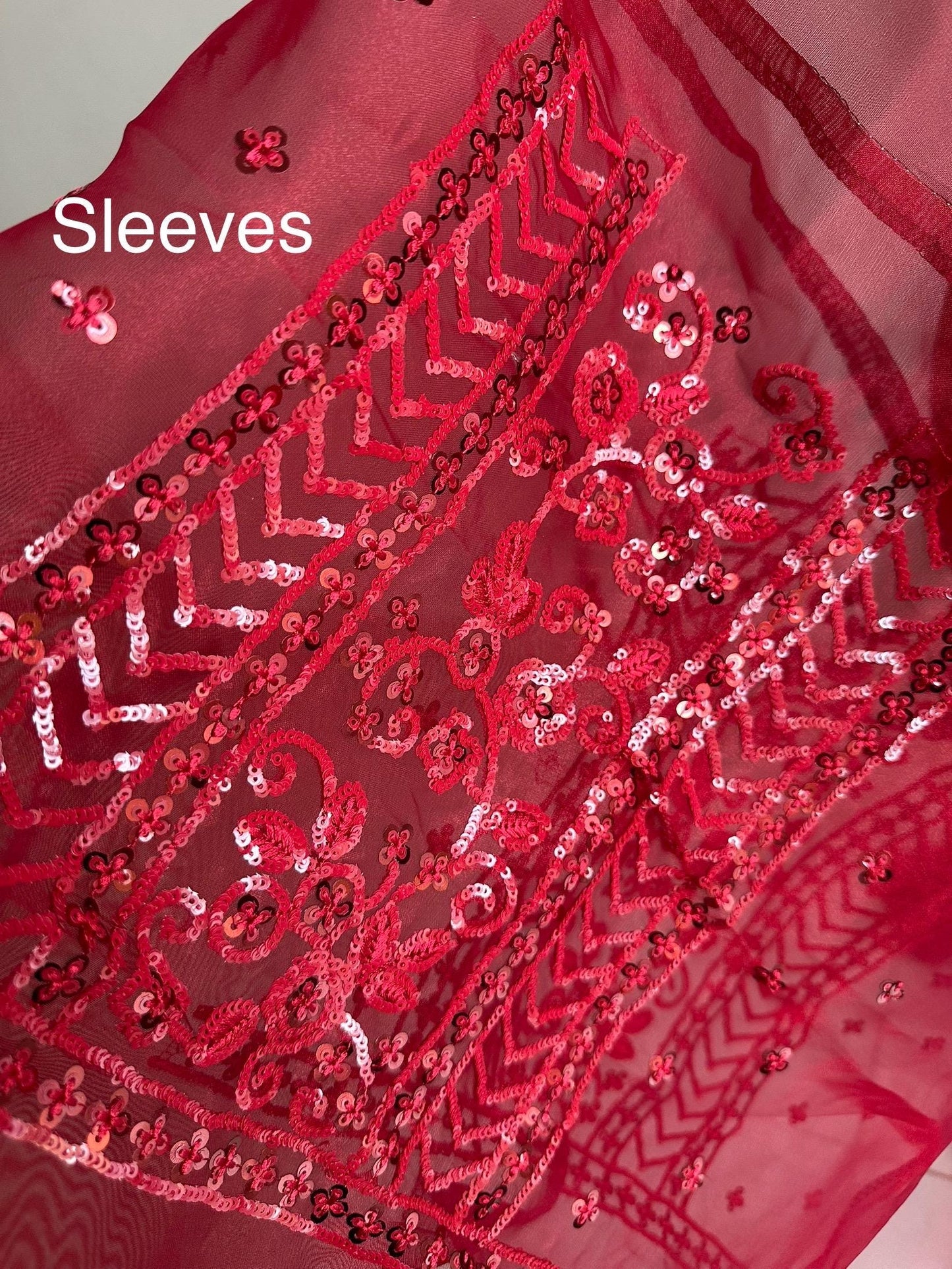 Red organza saree with red sequin detailing. Elegant red on red saree for occasions.