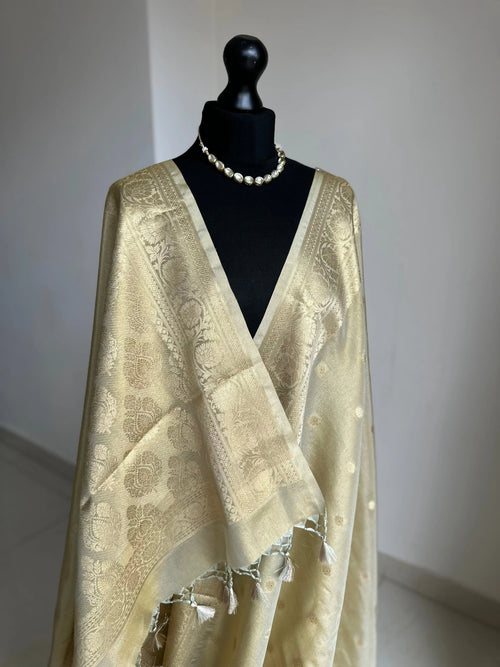 Ivory Cream and Gold Tissue Saree with Zari Border
