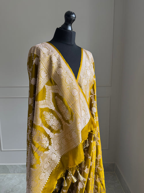 Banarasi golden olive wedding mashru Saree with champage gold Zari. Gold olive traditional modern Saree with plain contrast blouse and fall picot