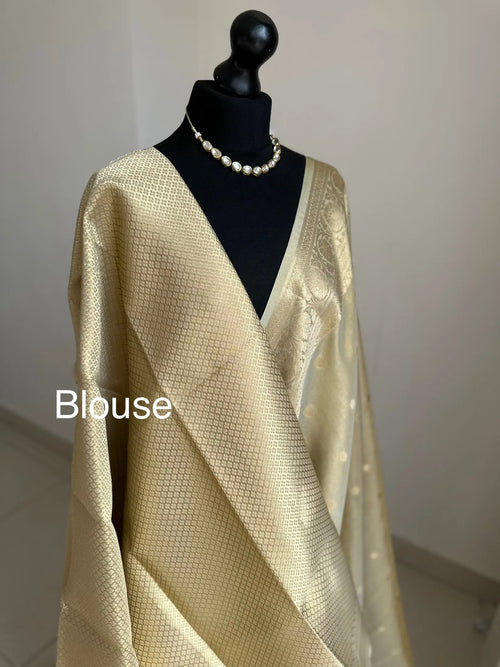 Ivory Cream and Gold Tissue Saree with Zari Border