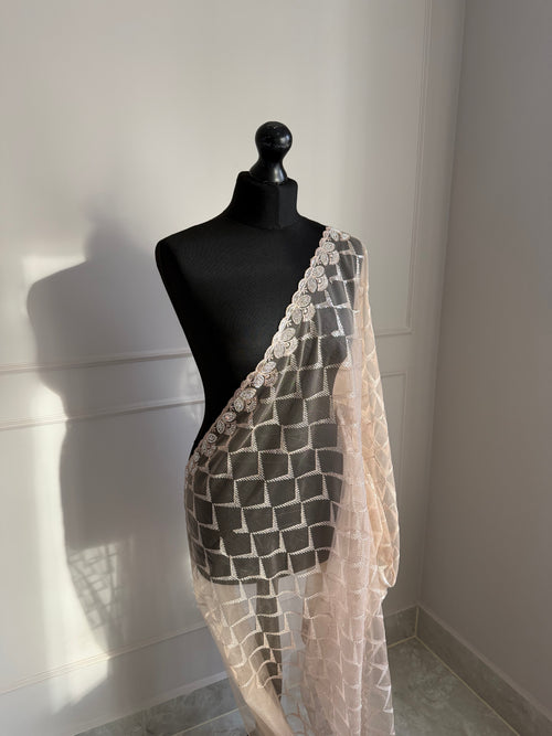 Neutral Beige Lace Saree with Tonal Sequins & Embellished Border