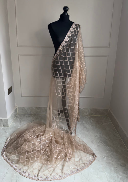 Neutral Beige Lace Saree with Tonal Sequins & Embellished Border