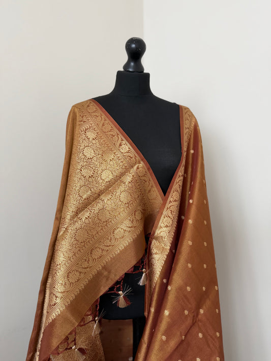 Golden brown dual toned shimmer soft tissue saree with border and unstitched brocade blouse.