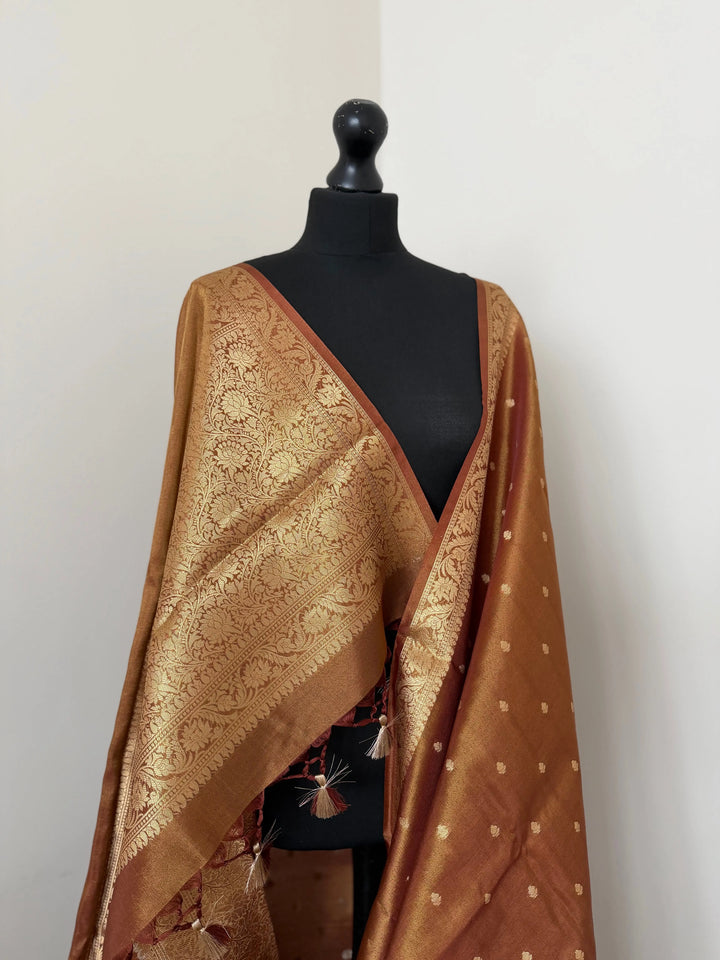 Golden brown dual toned shimmer soft tissue saree with border and unstitched brocade blouse. LaiLai Sarees