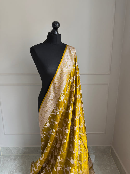 Banarasi golden olive wedding mashru Saree with champage gold Zari. Gold olive traditional modern Saree with plain contrast blouse and fall picot