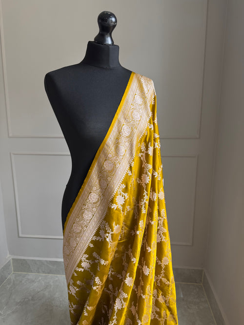 Banarasi golden olive wedding mashru Saree with champage gold Zari. Gold olive traditional modern Saree with plain contrast blouse and fall picot