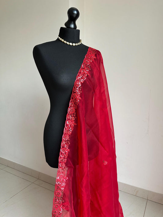 Red organza saree with red sequin detailing. Elegant red on red saree for occasions.