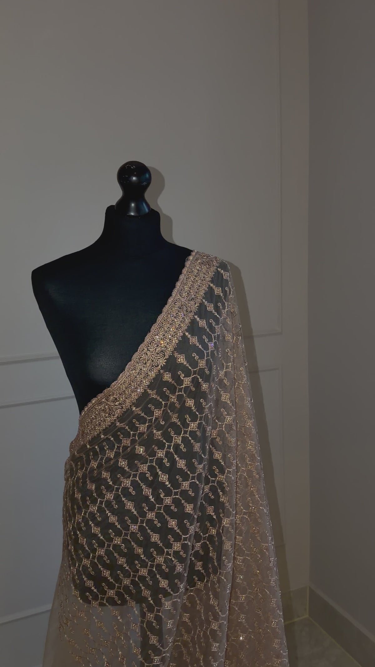 Golden Brown Lace Saree with Zardosi & Stone Work