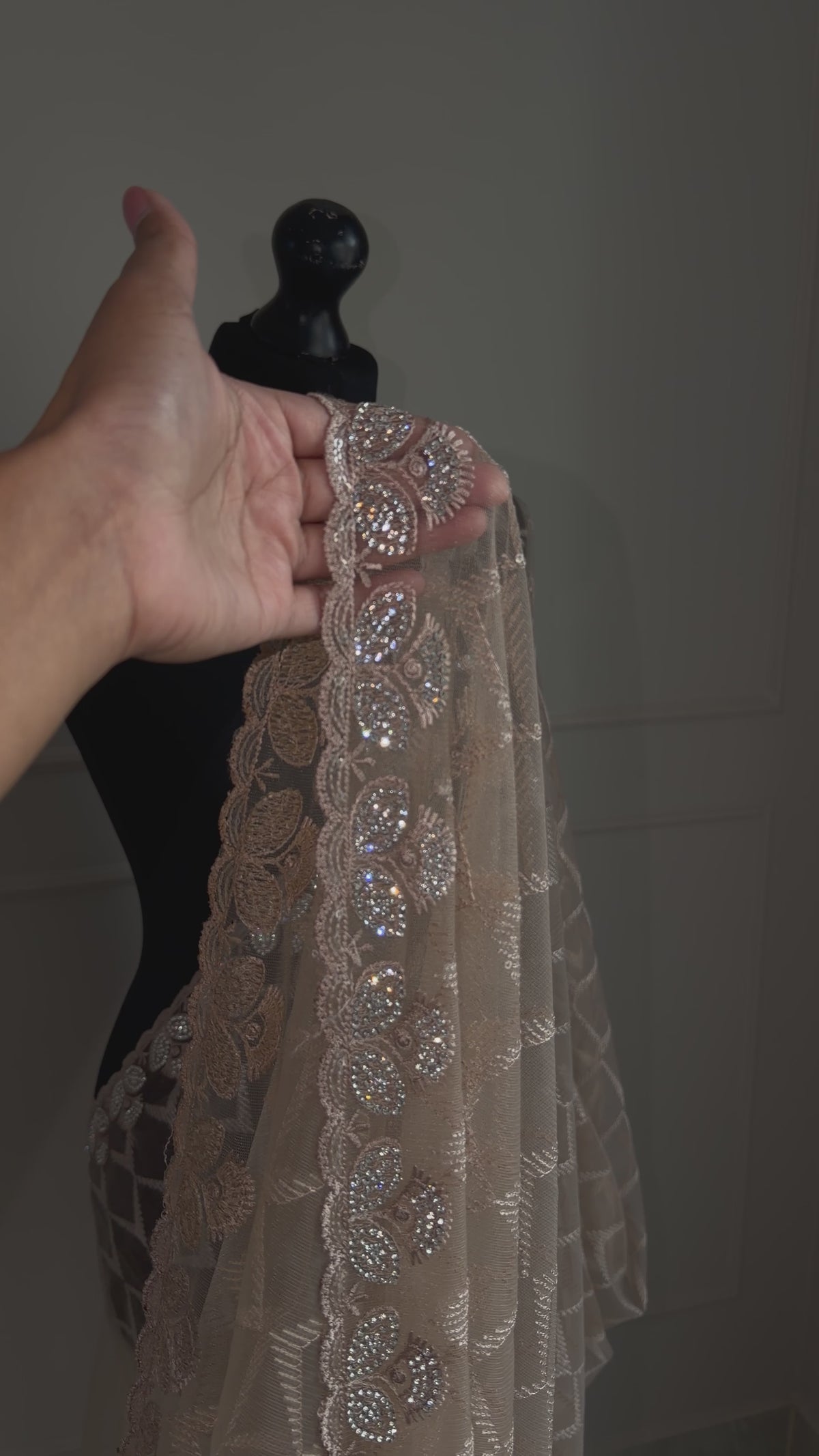 Neutral Beige Lace Saree with Tonal Sequins & Embellished Border
